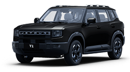 T1